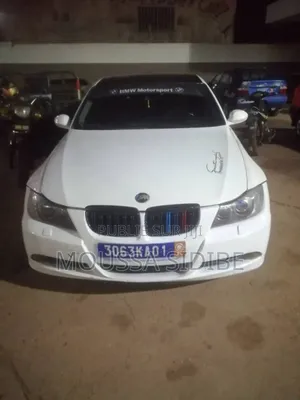 BMW 3 Series 316i RWD 2009 Blanc
