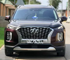 Photo - Hyundai Palissade 2020 Marron