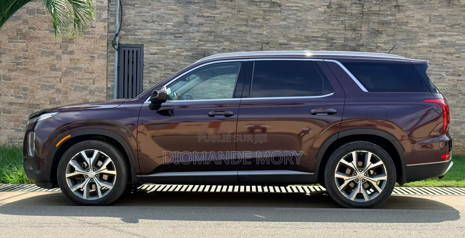 Hyundai Palissade 2020 Marron