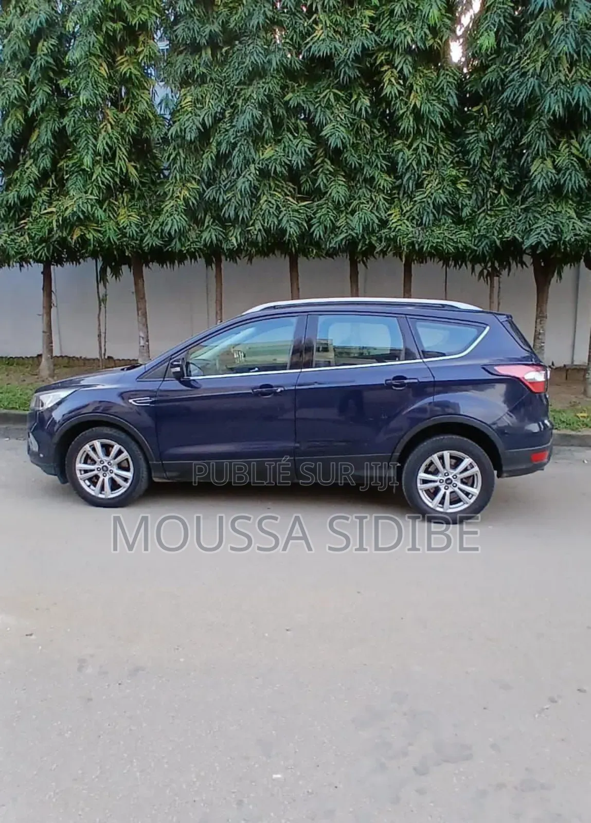 Ford Escape SE 4x4 2019 Blue