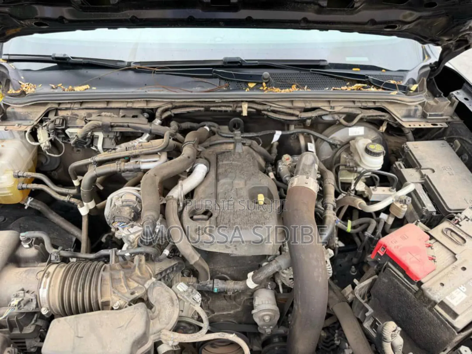 Ford Ranger Wildtrak 2024 Black