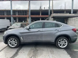 Photo - BMW X6 M Sport 2015 Gris