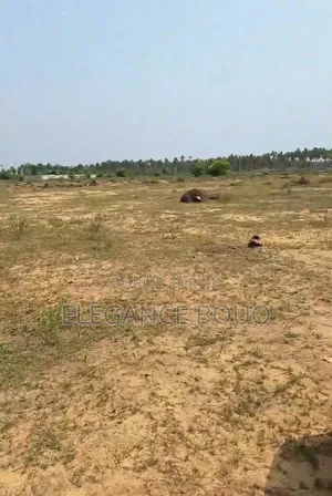 Photo - Terrain En Vente