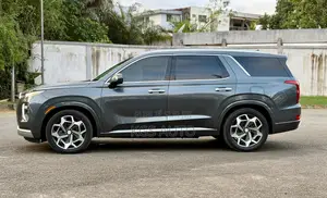 Hyundai Palissade Calligraphy 2021 Gris