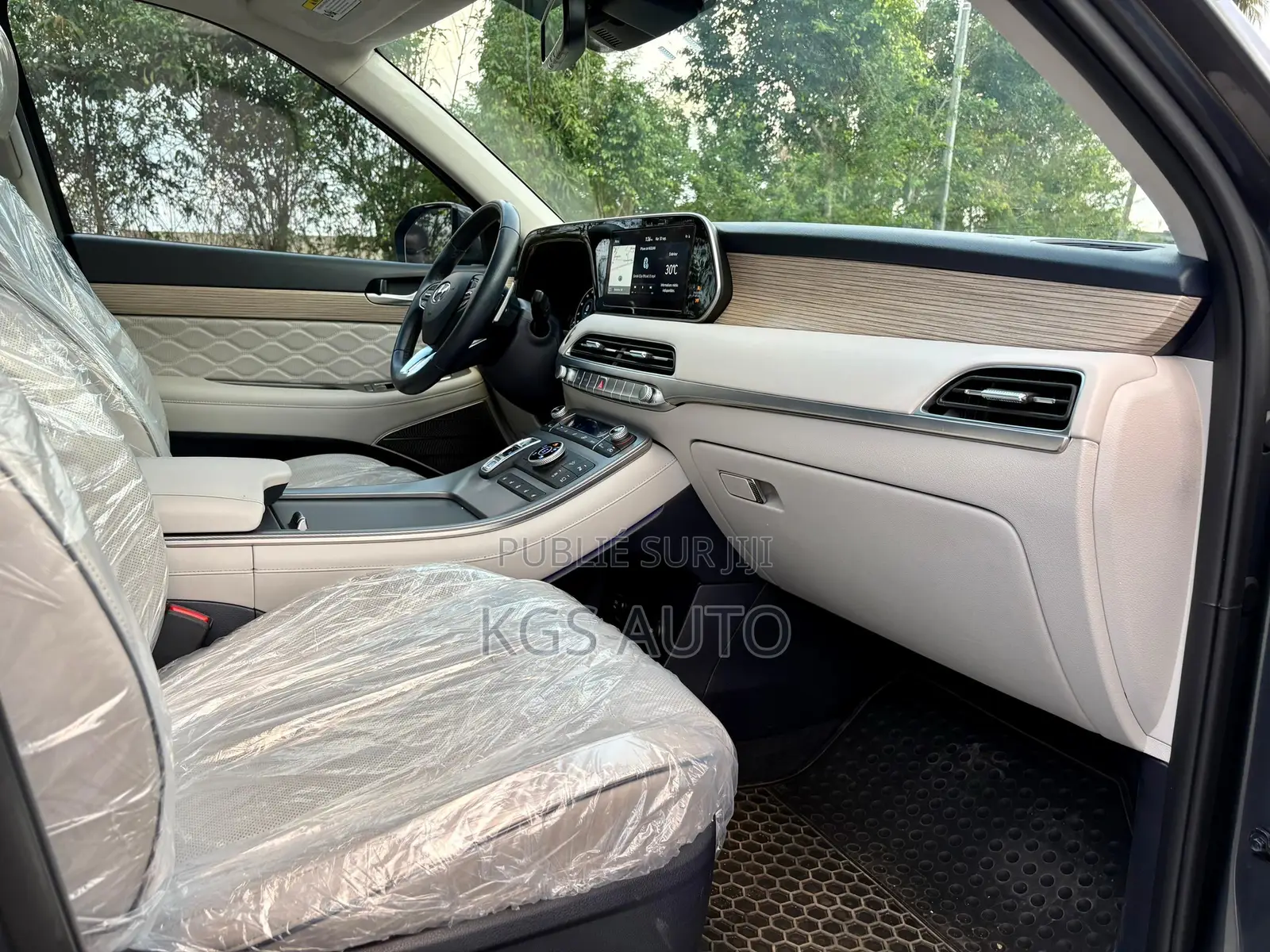 Hyundai Palissade Calligraphy 2021 Gris