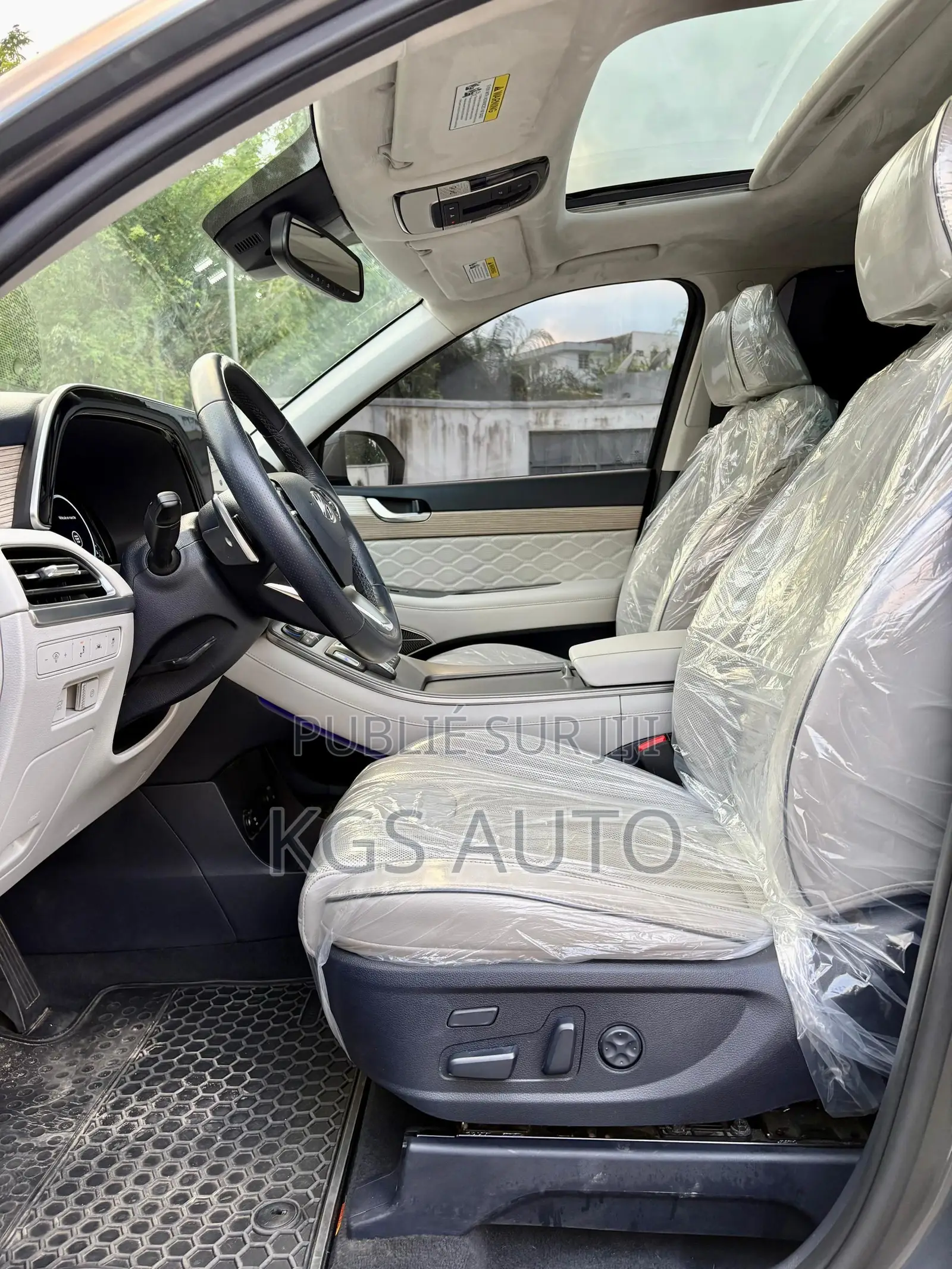 Hyundai Palissade Calligraphy 2021 Gris