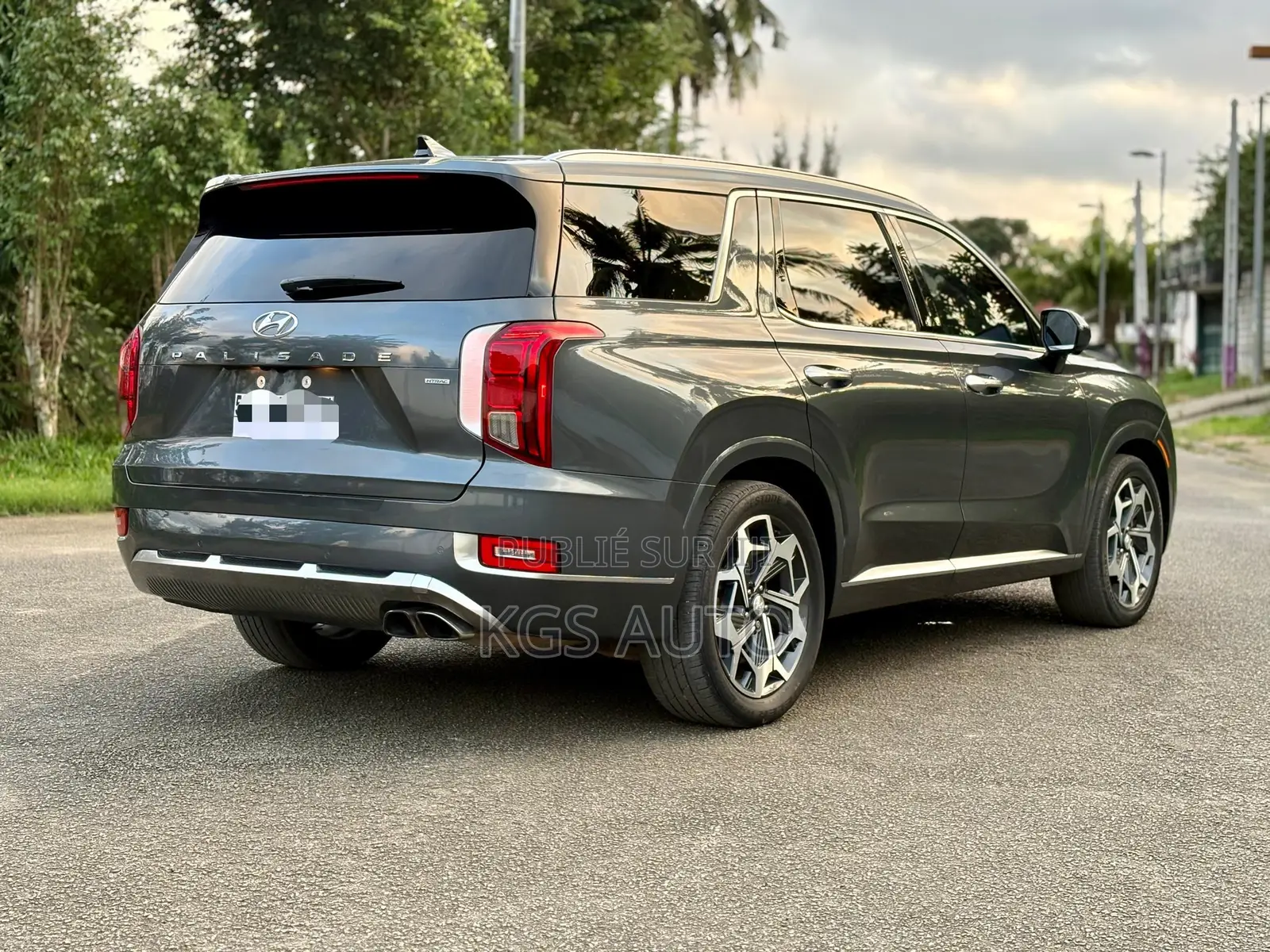 Hyundai Palissade Calligraphy 2021 Gris