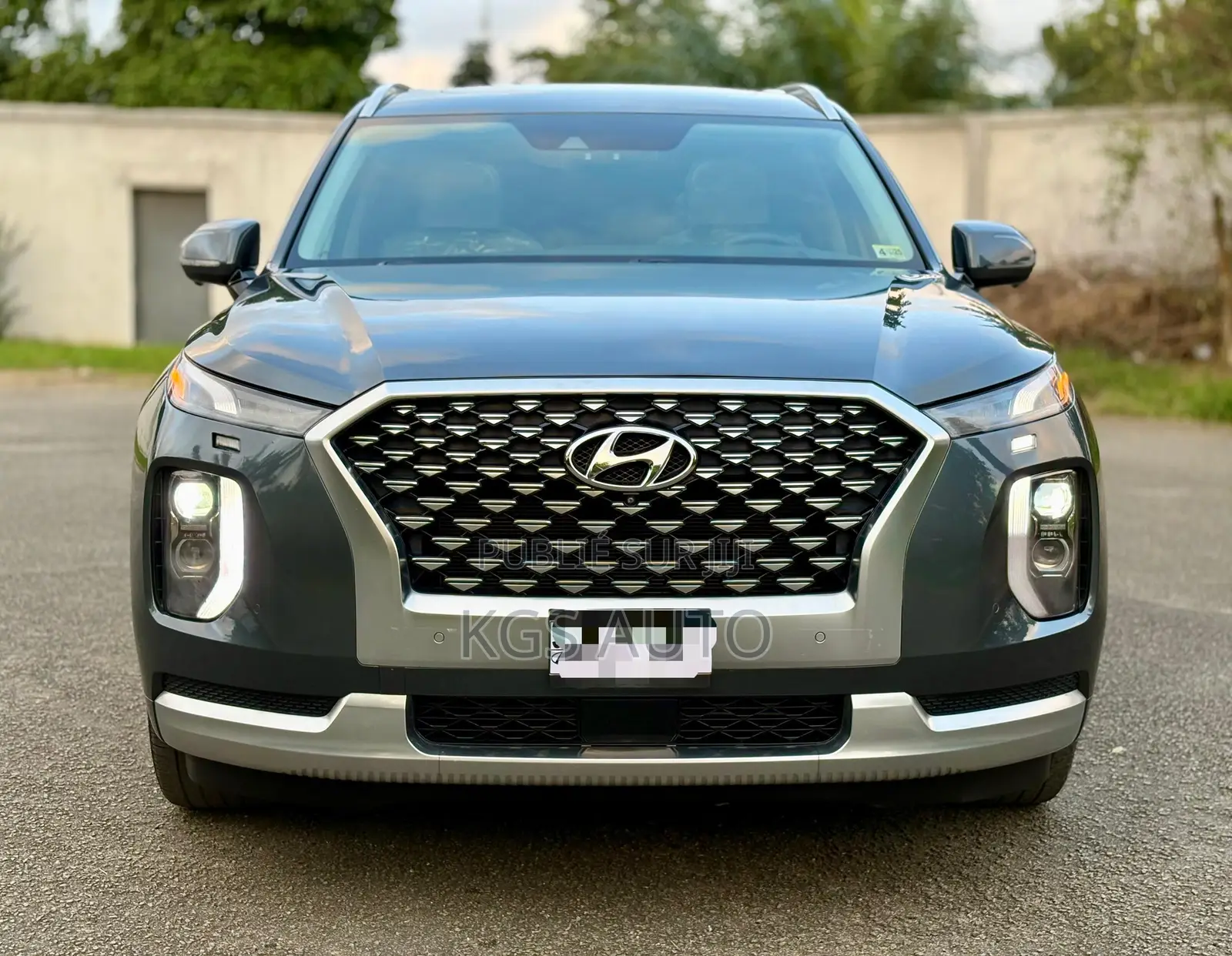 Hyundai Palissade Calligraphy 2021 Gris
