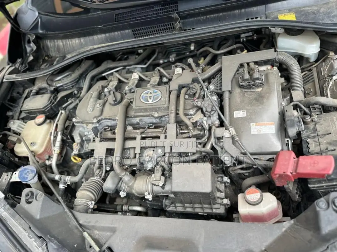 Toyota C-HR 2017 Noir Mat