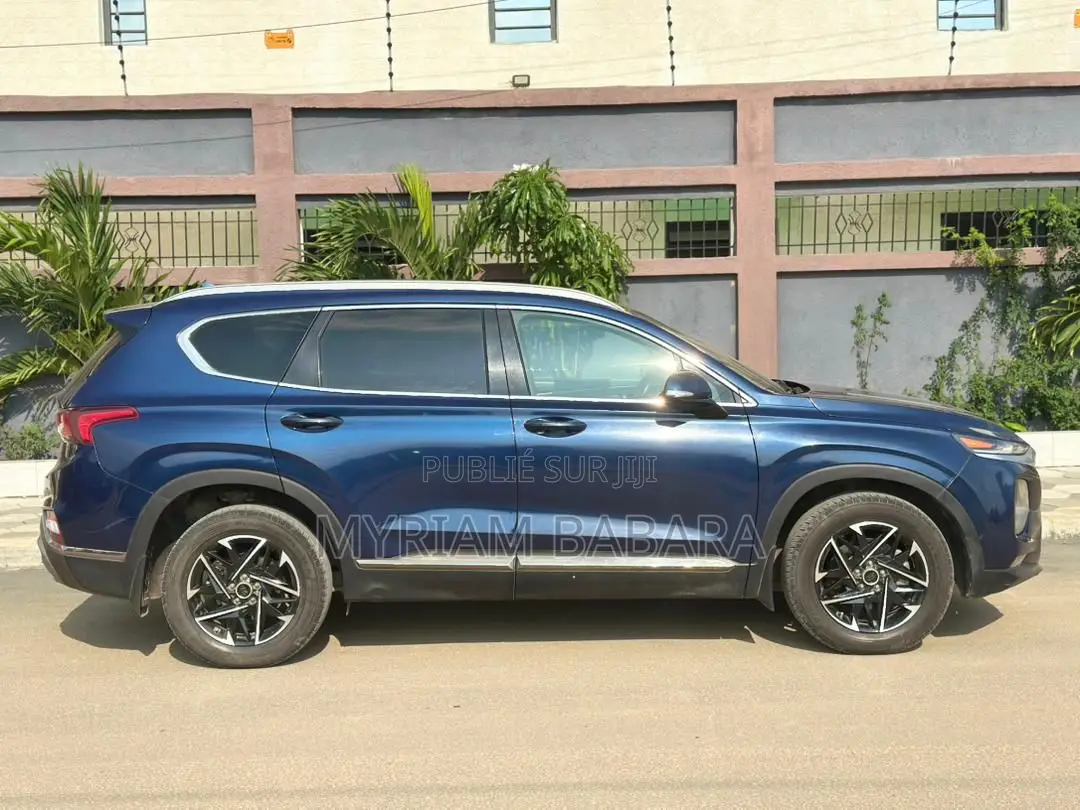 Hyundai Santa Fe 2020 Blue