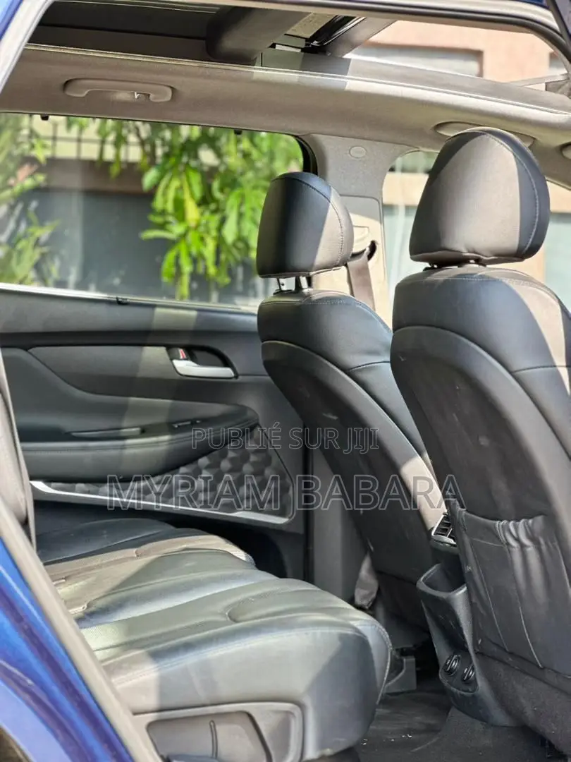 Hyundai Santa Fe 2020 Blue