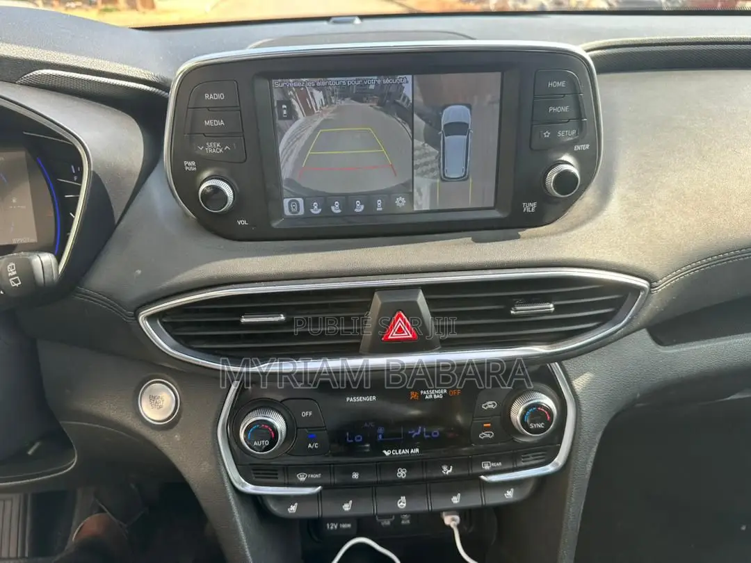 Hyundai Santa Fe 2020 Blue