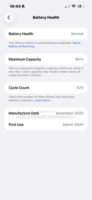 Apple iPhone 15 Pro Max 256 GB Argenté