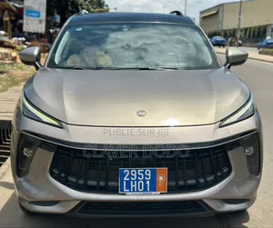 Photo - Dongfeng EV EX1 33 kW FWD 2022 Gris