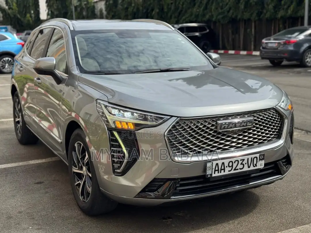 Haval Jolion 2022 Gris