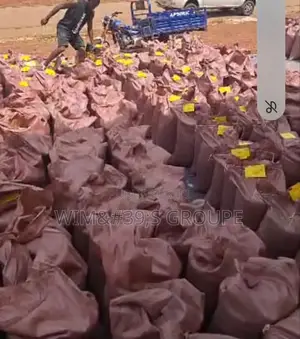 Photo - Anacardes Disponible