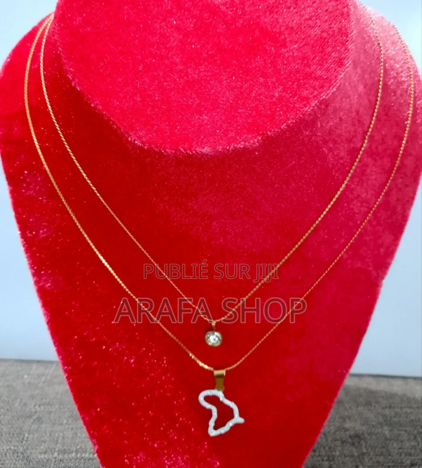 Collier Double Inoxydable