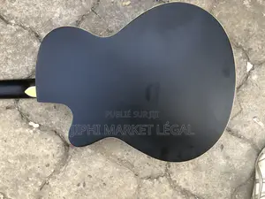 Guitare Acoustique /Sèche/Folk