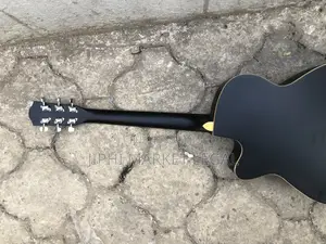 Guitare Acoustique /Sèche/Folk
