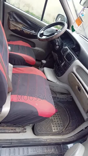 Renault Scenic 2010 Vert