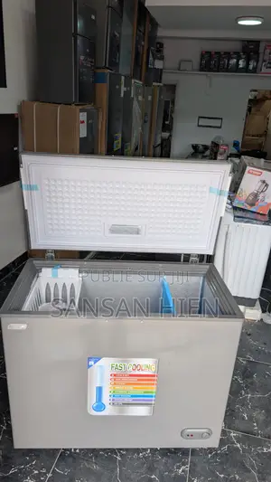 Congélateur Coucher Smart 235 Litre