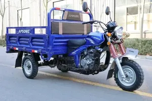 New Apsonic AP110-88 2022