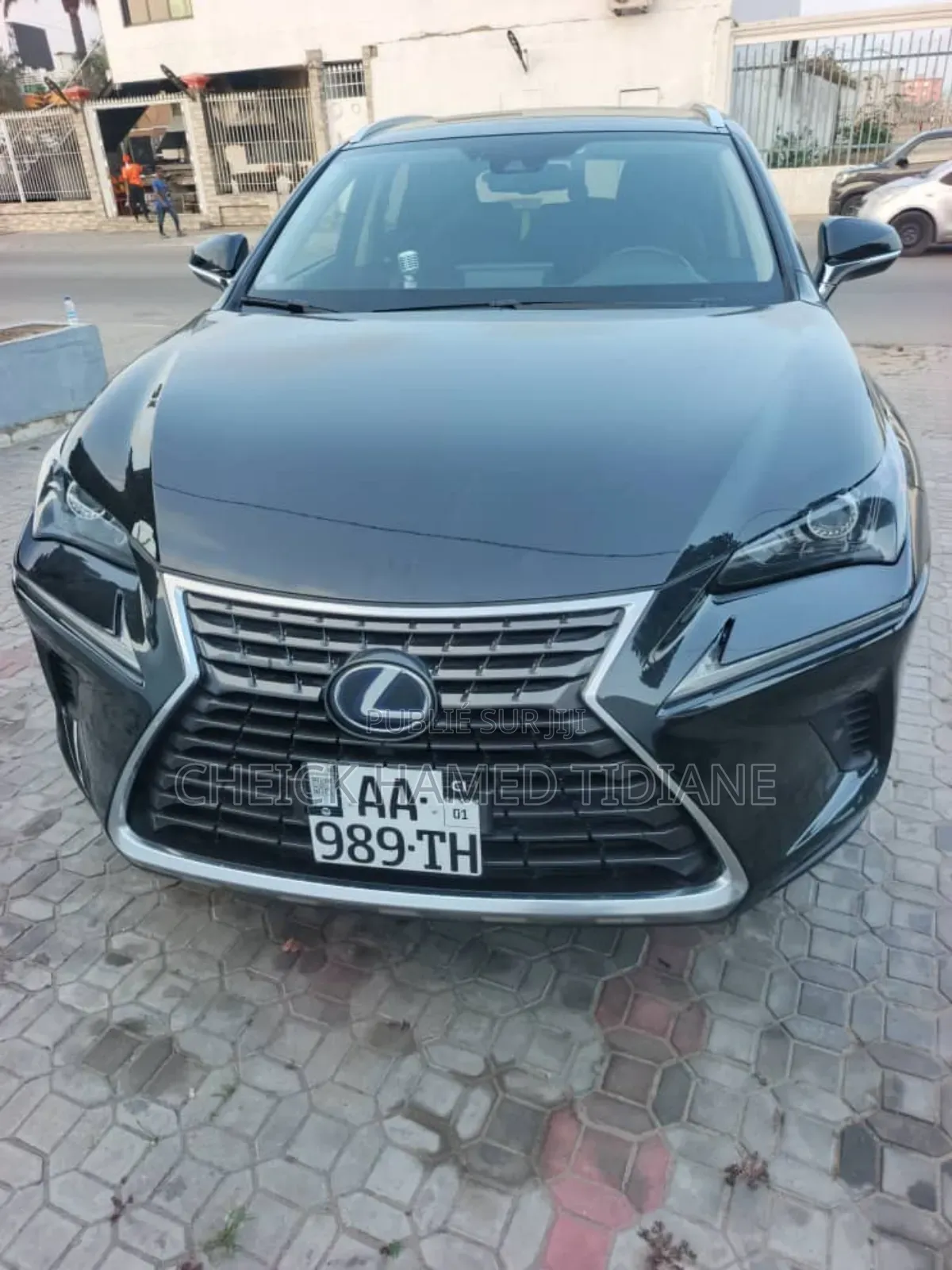 Lexus NX 300h 2019 Noir Mat