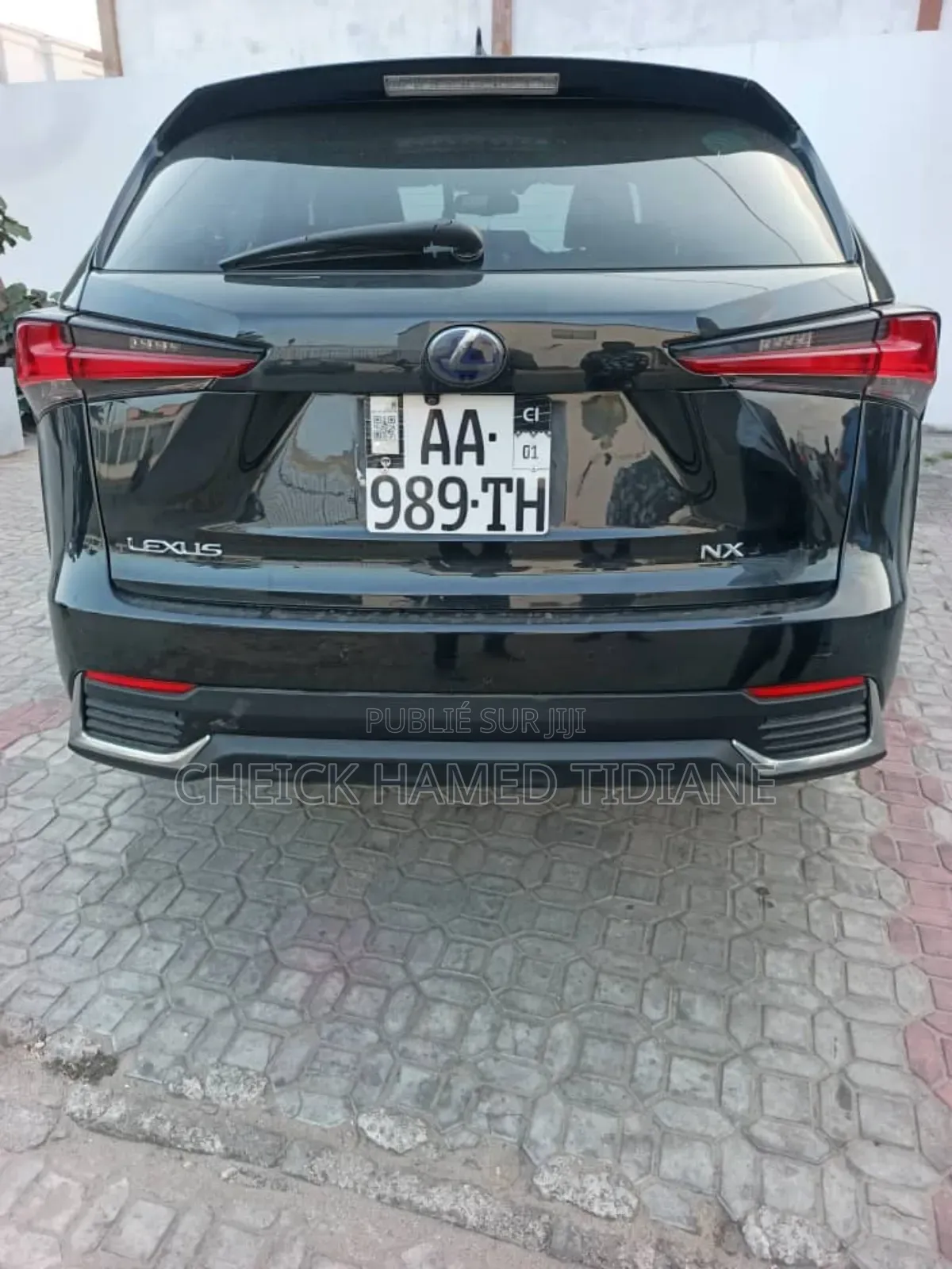 Lexus NX 300h 2019 Noir Mat