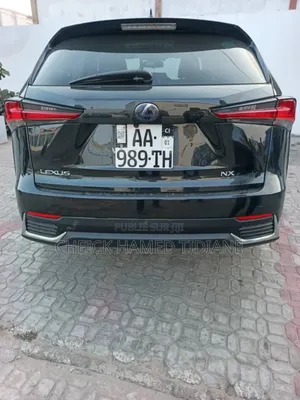 Lexus NX 300h 2019 Noir Mat