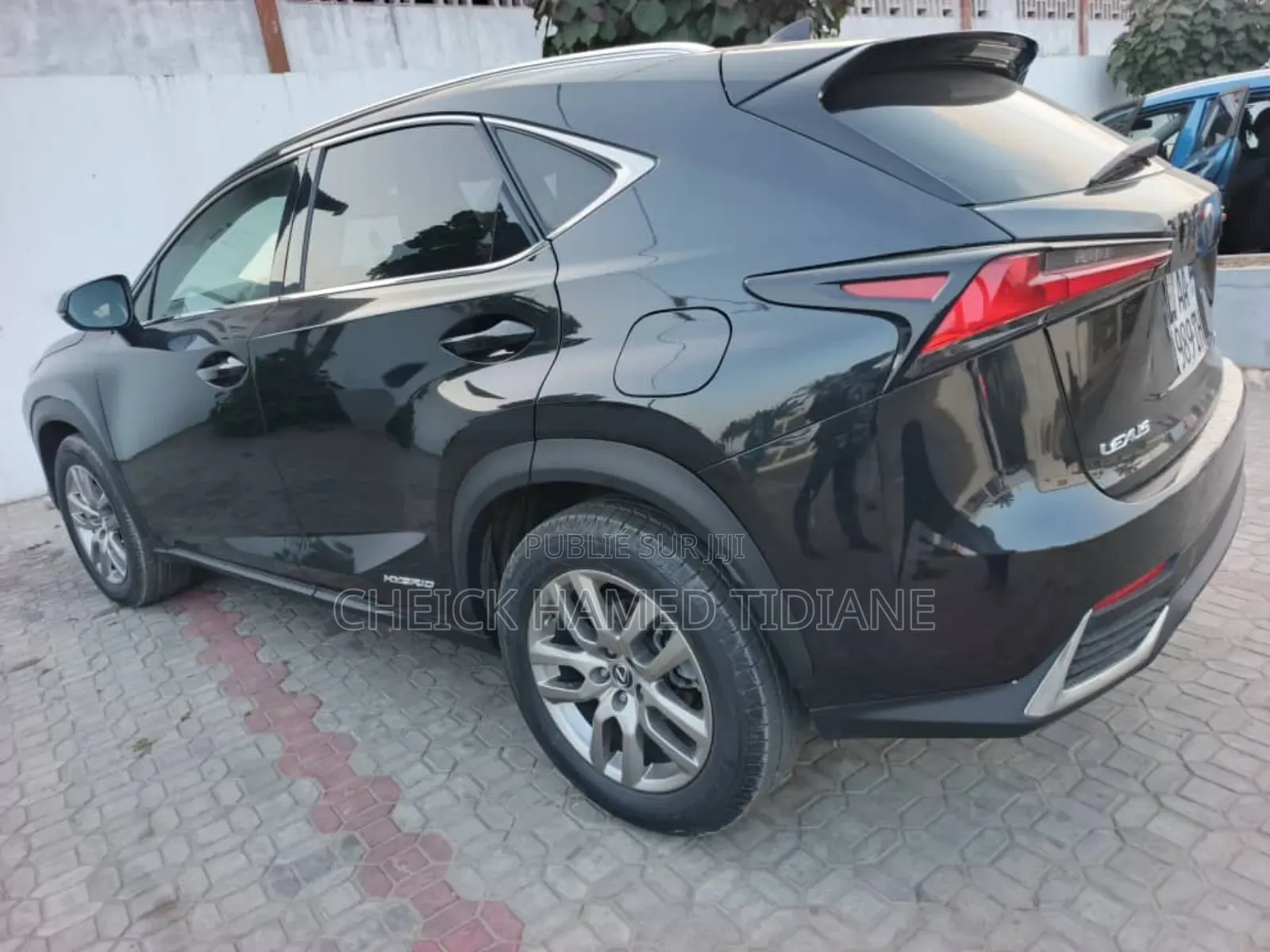 Lexus NX 300h 2019 Noir Mat