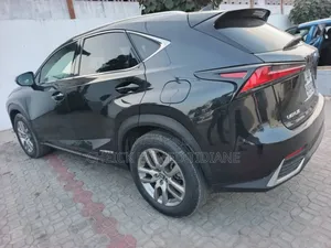 Lexus NX 300h 2019 Noir Mat