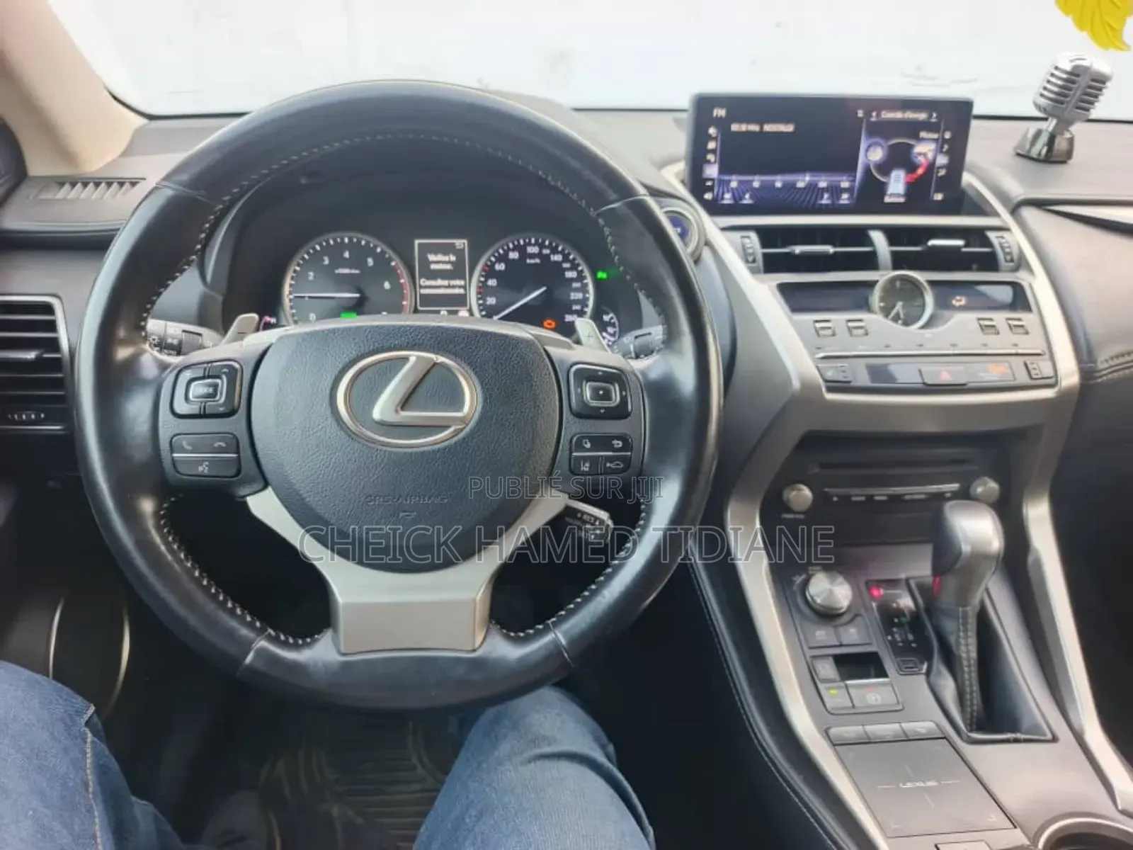 Lexus NX 300h 2019 Noir Mat