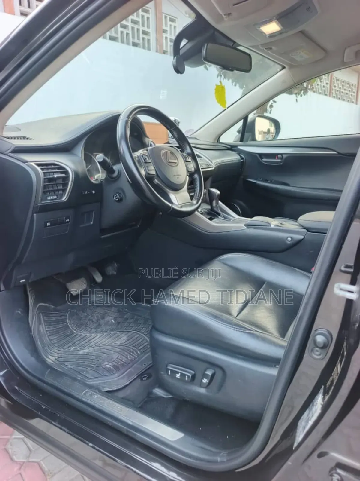 Lexus NX 300h 2019 Noir Mat