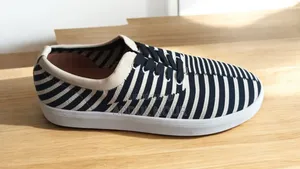 Paires De Sneakers Rayées Bleu Marine Et Blanc