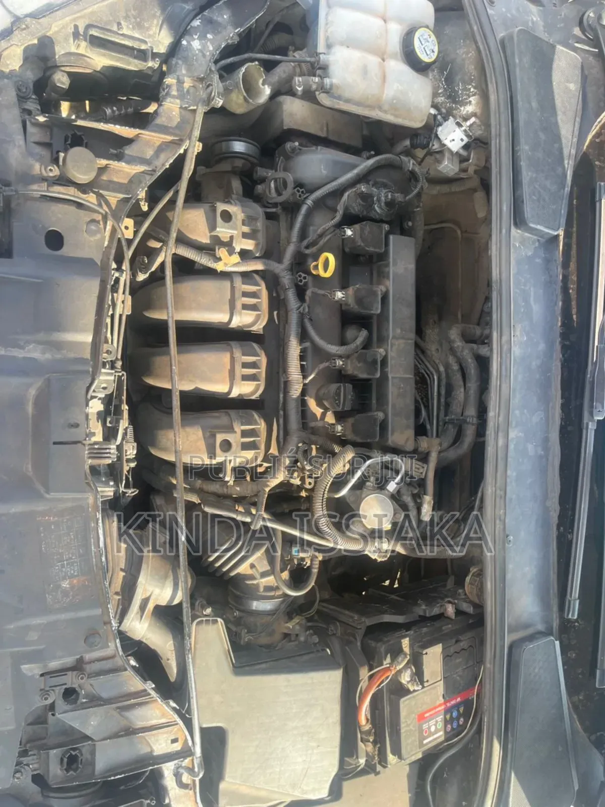 Ford Focus S Sedan FWD (2.0L 4cyl 5M) 2016 Blanc cassé