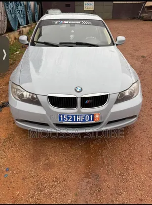 BMW 3 Series 316i RWD 2005 Gris
