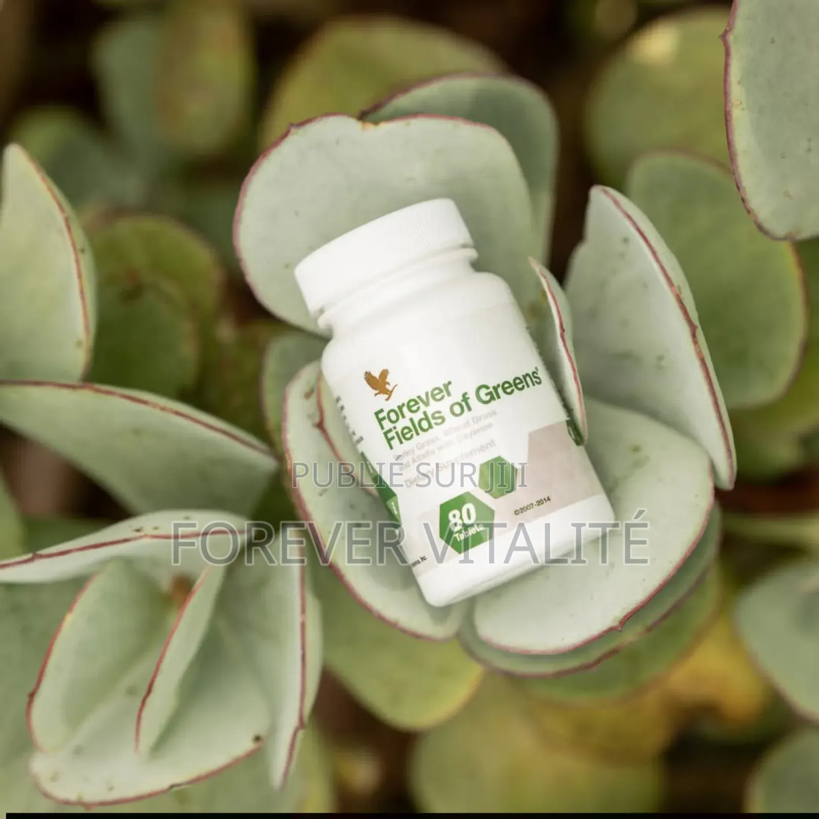 Forever Fields of Greens.