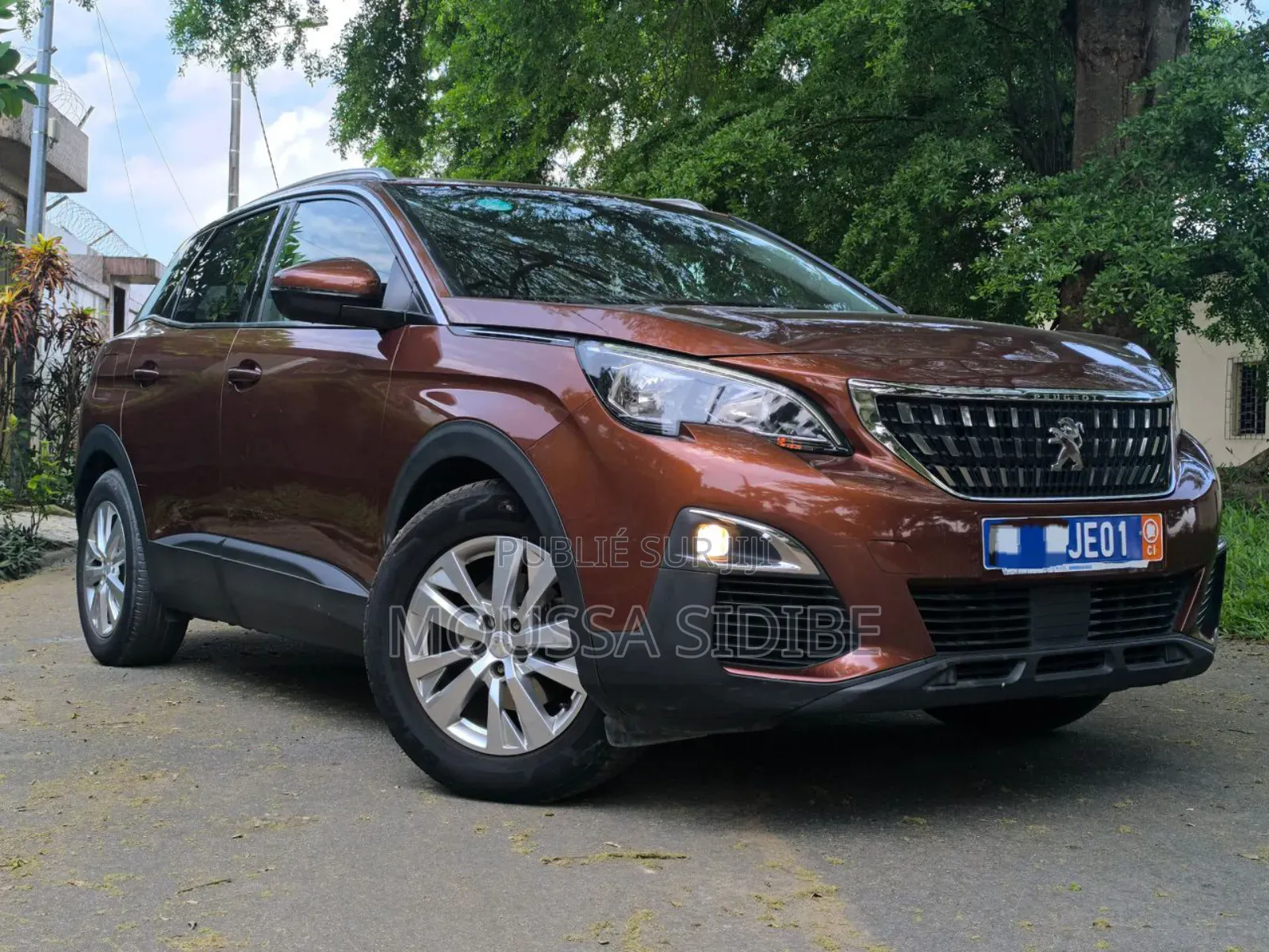 Peugeot 3008 2018 Marron