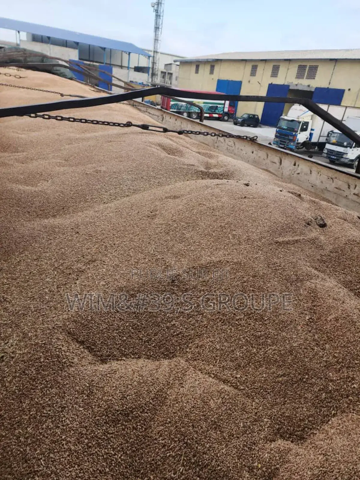 Blé Disponible Au Port