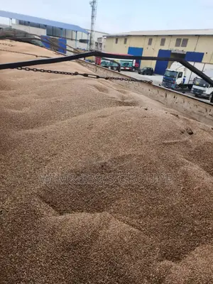 Photo - Blé Disponible Au Port