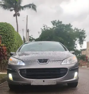 Photo - Peugeot 407 2006 Gris