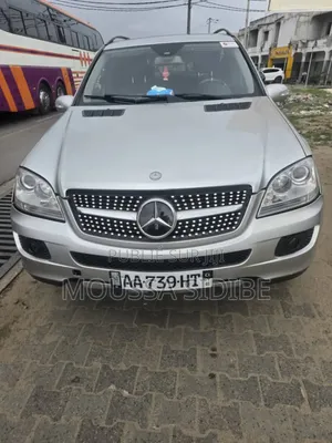 Mercedes-Benz M Class ML350 4x2 2009 Gris