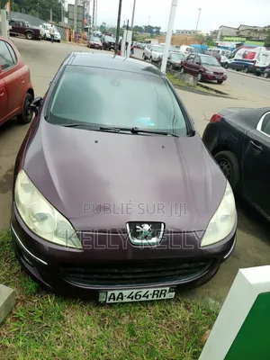 Peugeot 407 2005 Bordeaux