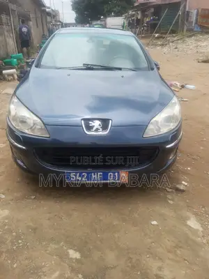 Peugeot 407 2006 Blue
