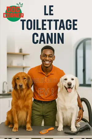 Toilettage Canin À Domicile À Abidjan
