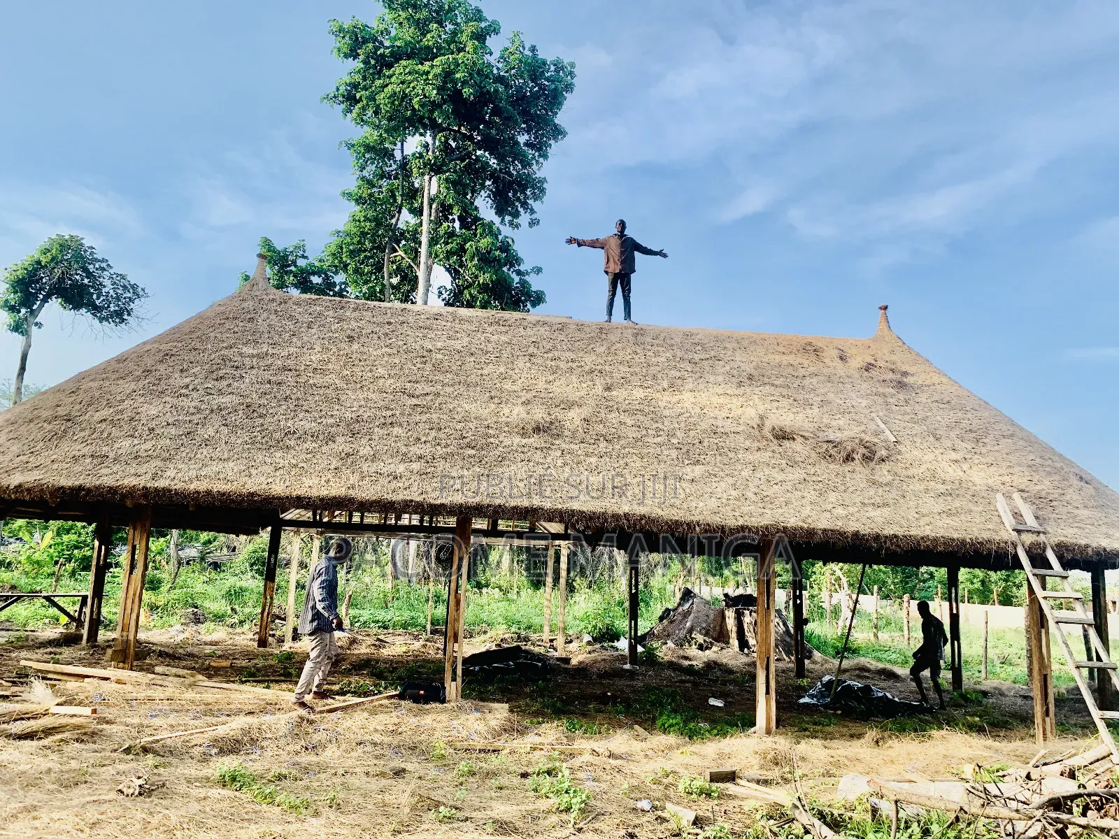 Spécialiste en Paillote en Charpente Et Tuiles Métallique
