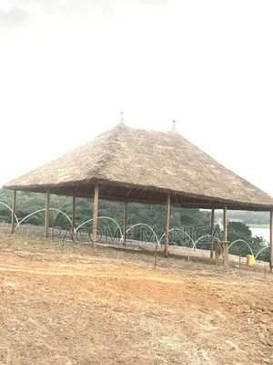 Spécialiste en Paillote en Charpente Et Tuiles Métallique