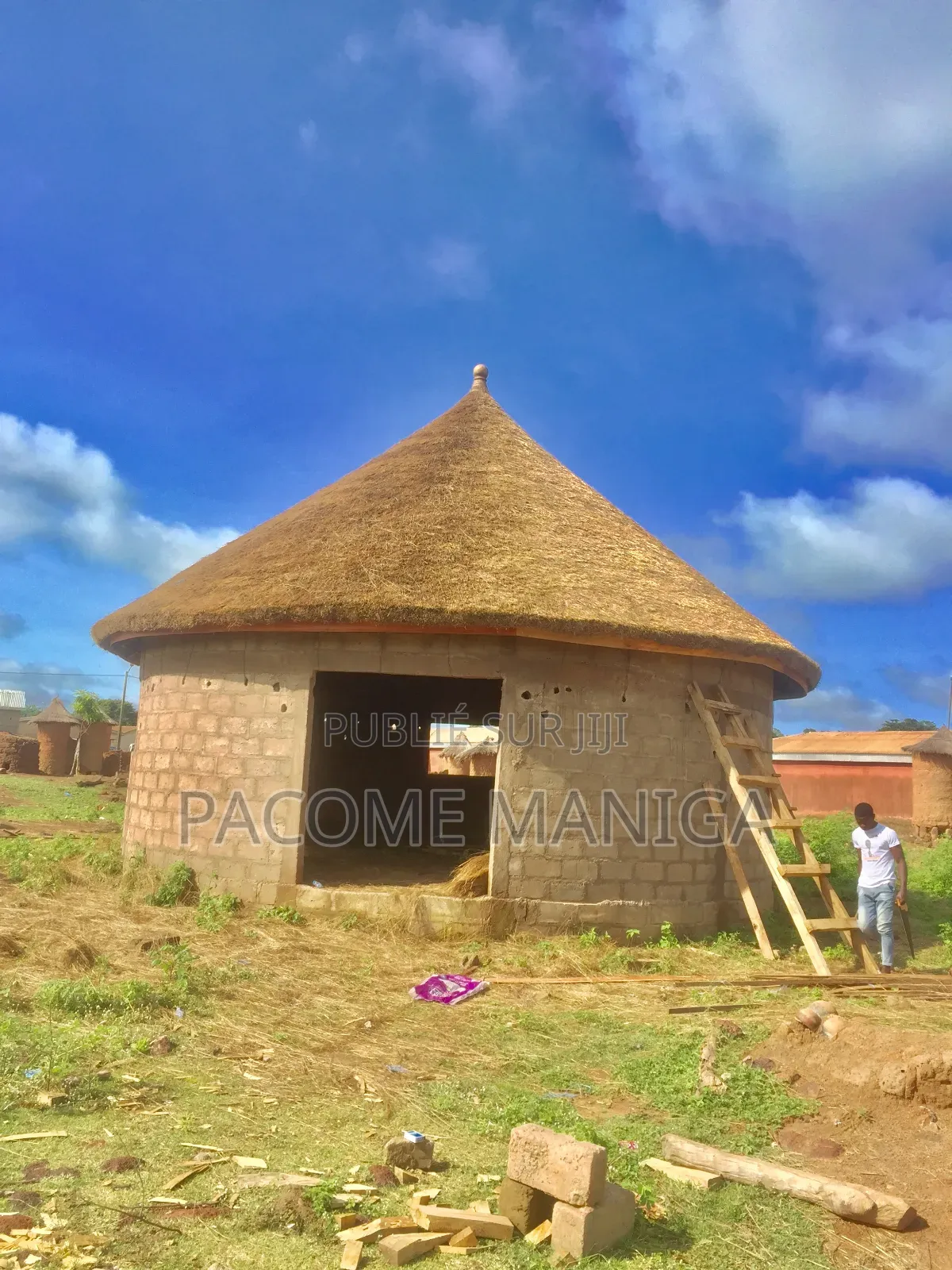 Spécialiste en Paillote en Charpente Et Tuiles Métallique