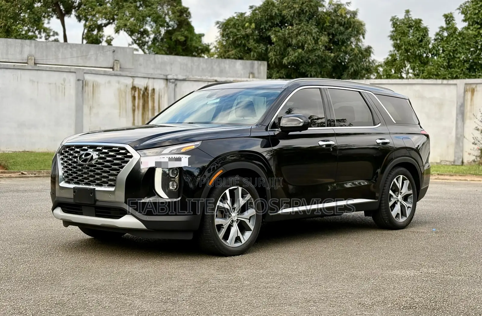 Hyundai Palissade 2020 Noir Mat