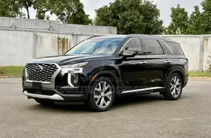 Hyundai Palissade 2020 Noir Mat